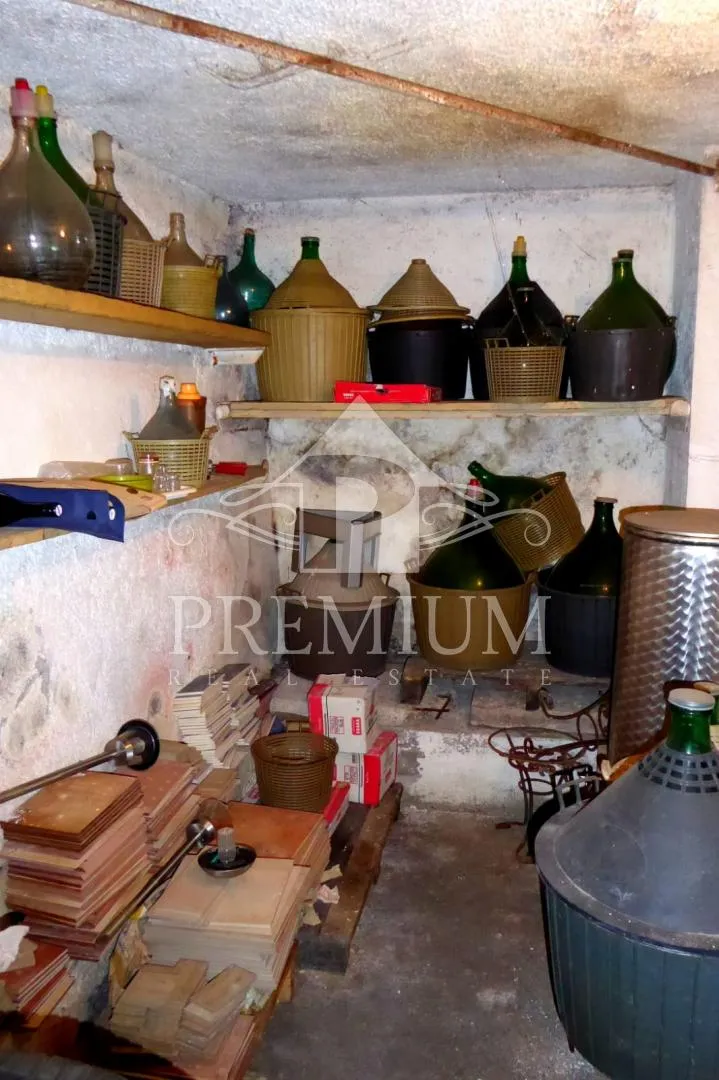 kuća sa tri stambene jedinice, okućnica, blizina centra - slika 16