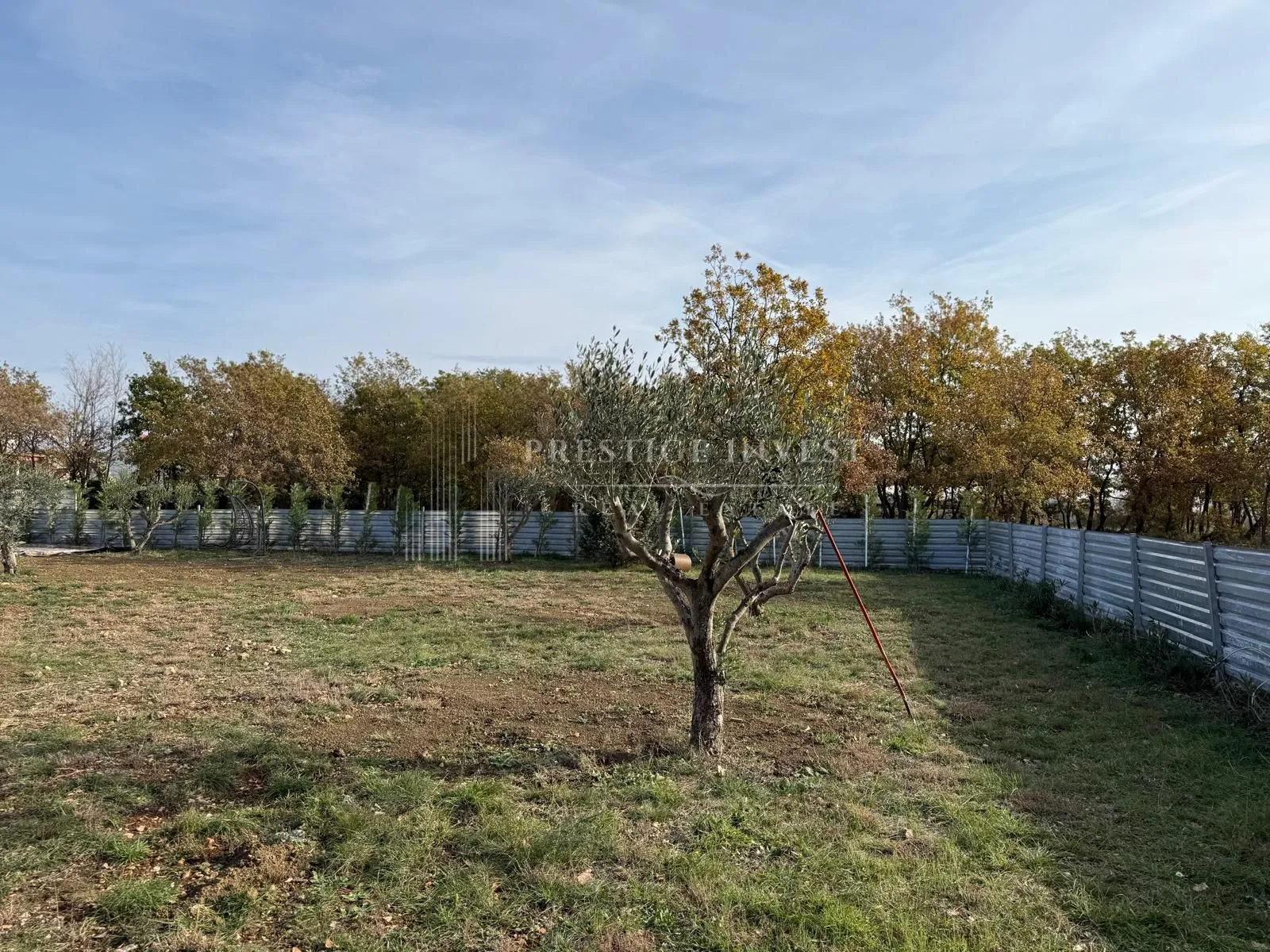 luksuzna prizemnica s 2550m2 okućnice i bazenom - slika 66
