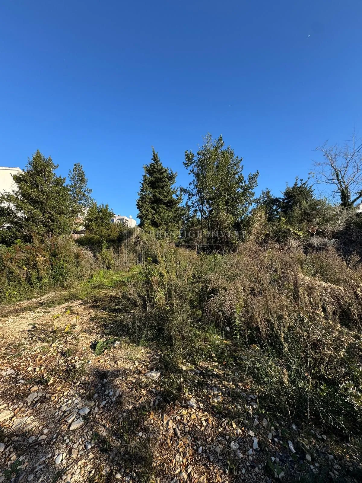zadar- diklo- građevinsko zemljište- 1800m2 - slika 4