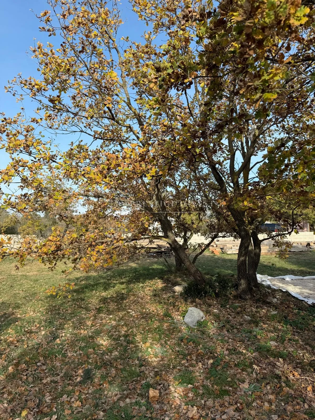 luksuzna prizemnica s 2550m2 okućnice i bazenom - slika 64