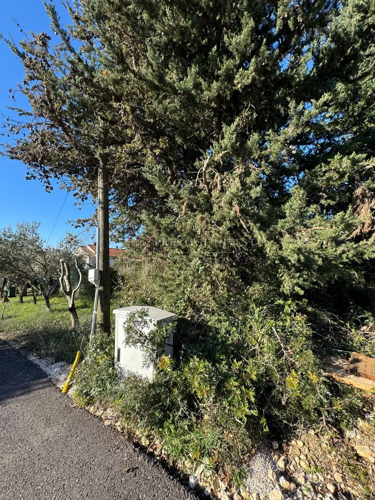 zadar- diklo- građevinsko zemljište- 1800m2 - slika 3