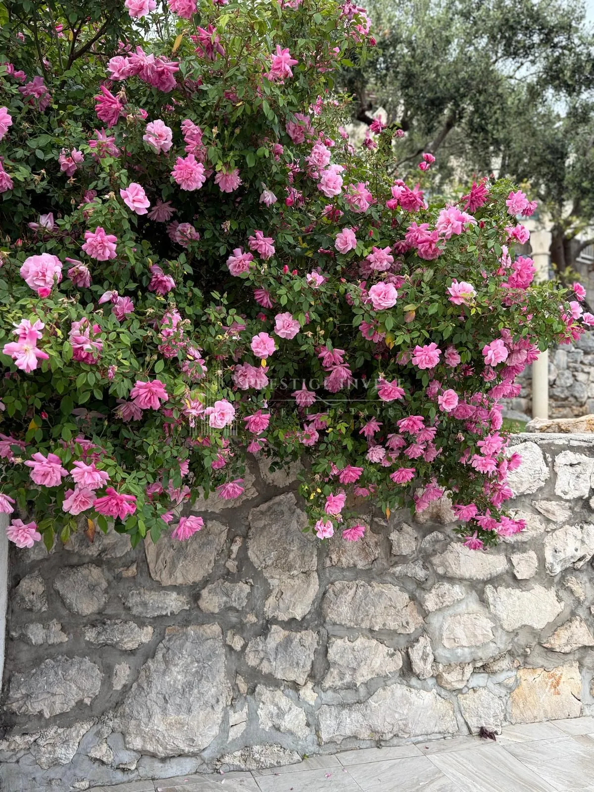 dubrovnik- prvi red uz more- jedinstvena prilika - slika 6