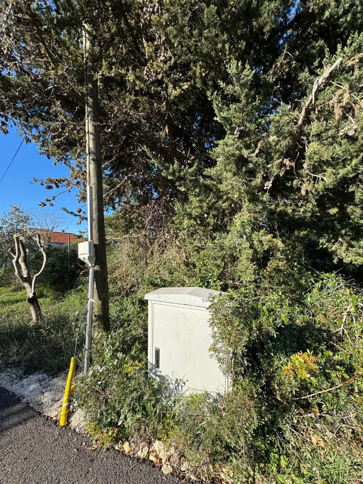 zadar- diklo- građevinsko zemljište- 1800m2 - slika 2