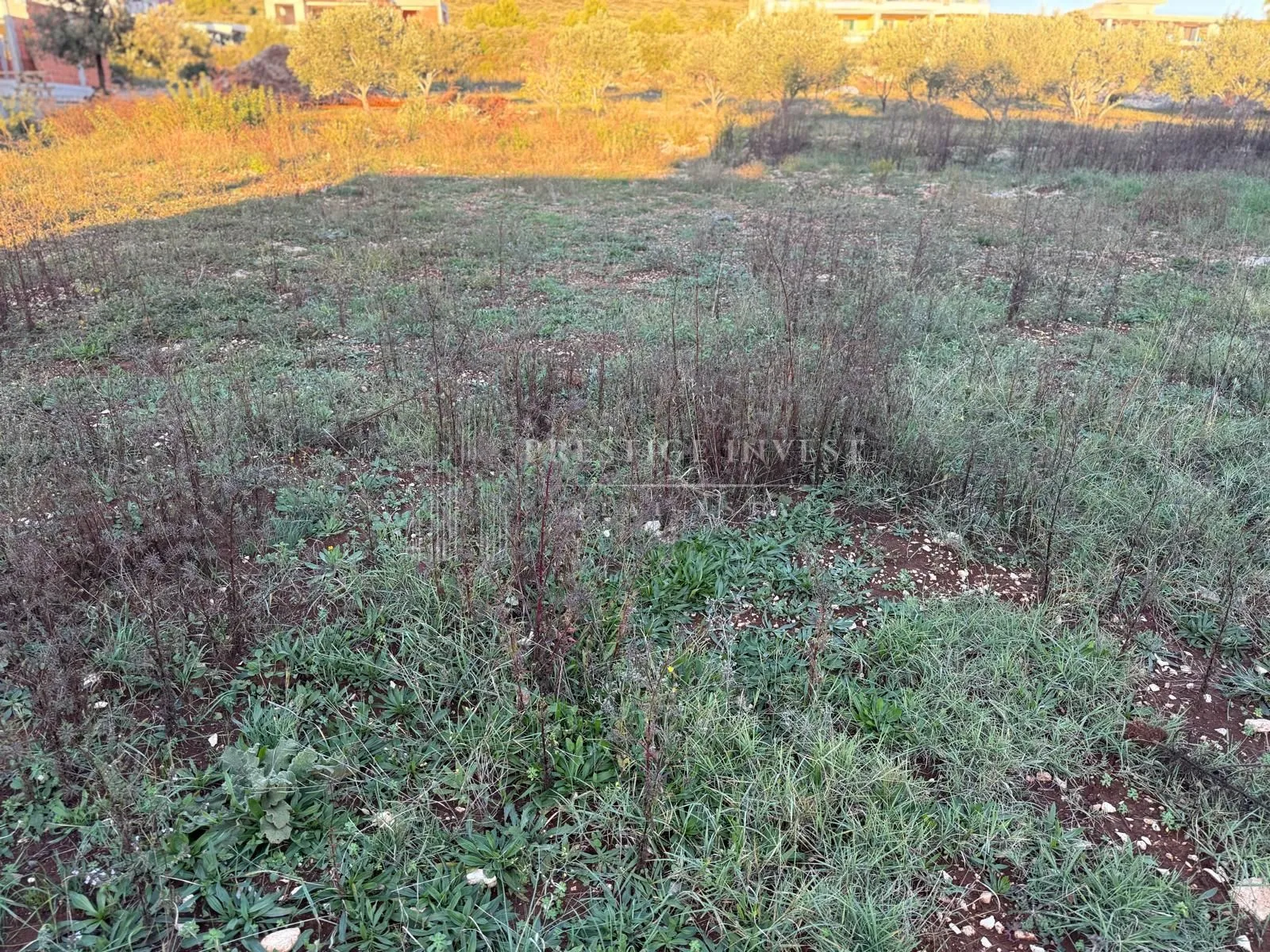 Građevinsko zemljište- 811m2 -200m od mora - Neviđane, Pašman