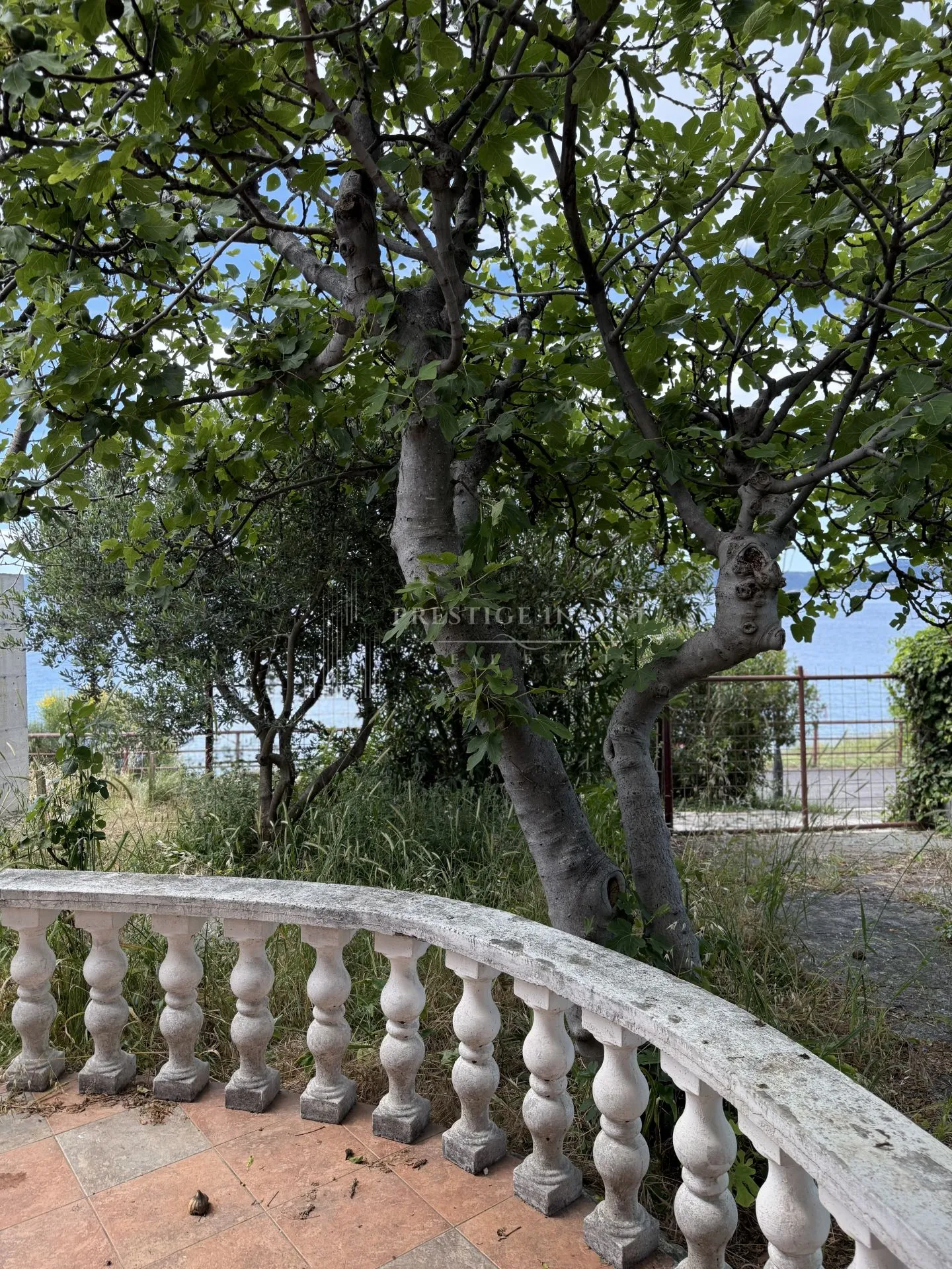 prilika- prvi red uz more- kuća 480m2 - slika 9