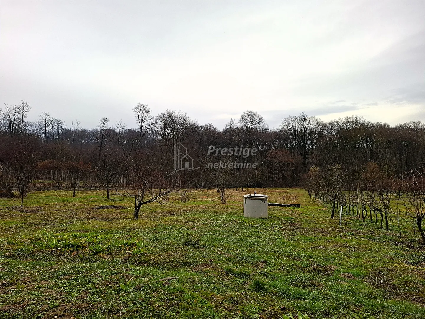 gaj, vrbovec, poljoprivredno zemljište 3.168 m² s kućom - slika 7