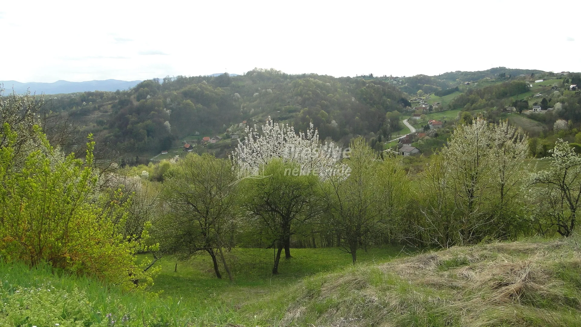 trstenik, građevinsko zemljište, 992m2 - slika 5