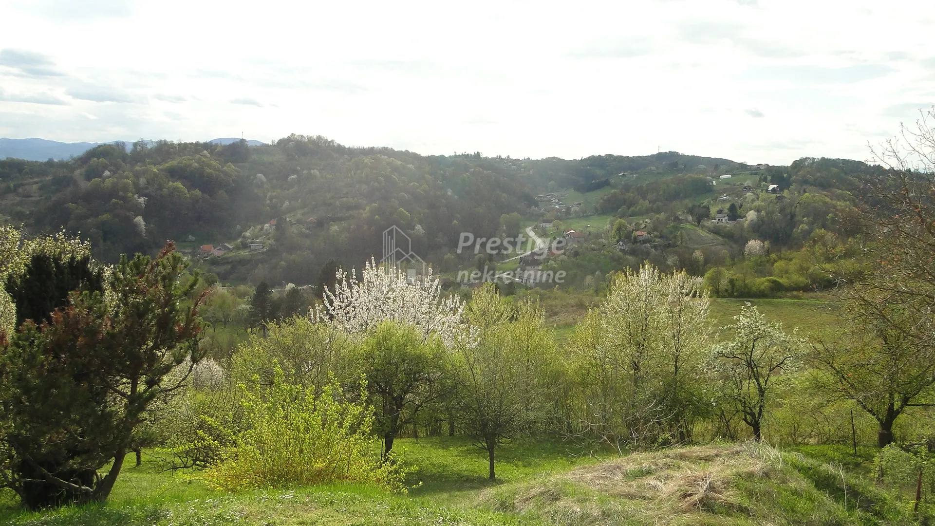 trstenik, građevinsko zemljište, 992m2 - slika 2