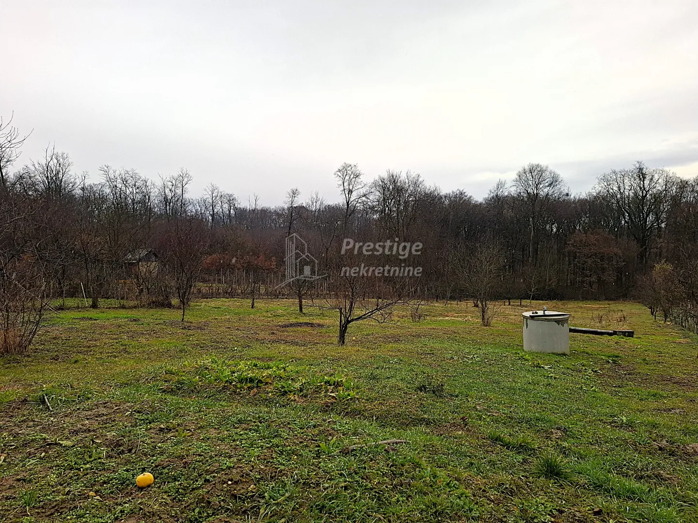 gaj, vrbovec, poljoprivredno zemljište 3.168 m² s kućom - slika 8
