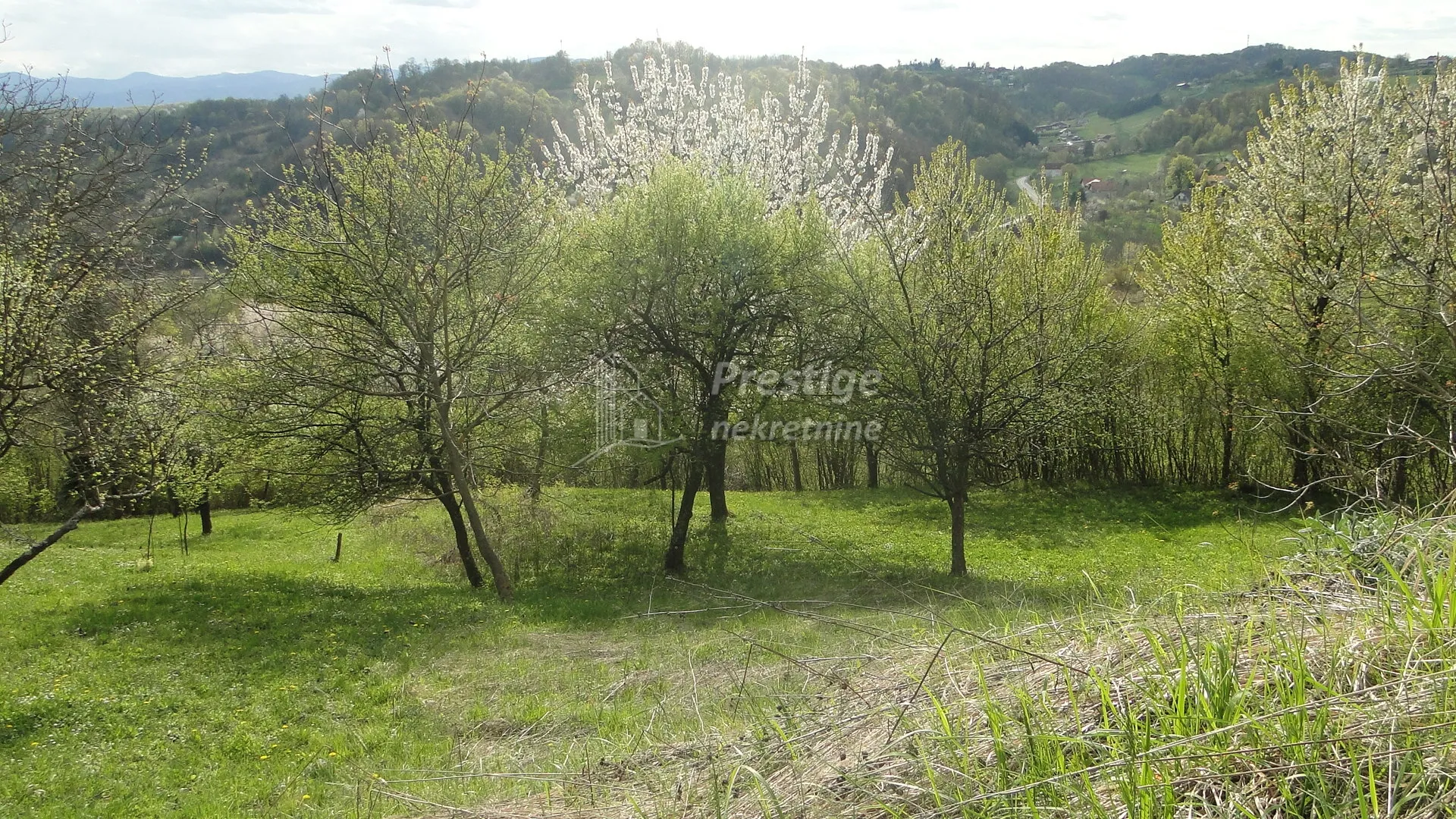 trstenik, građevinsko zemljište, 992m2 - slika 8