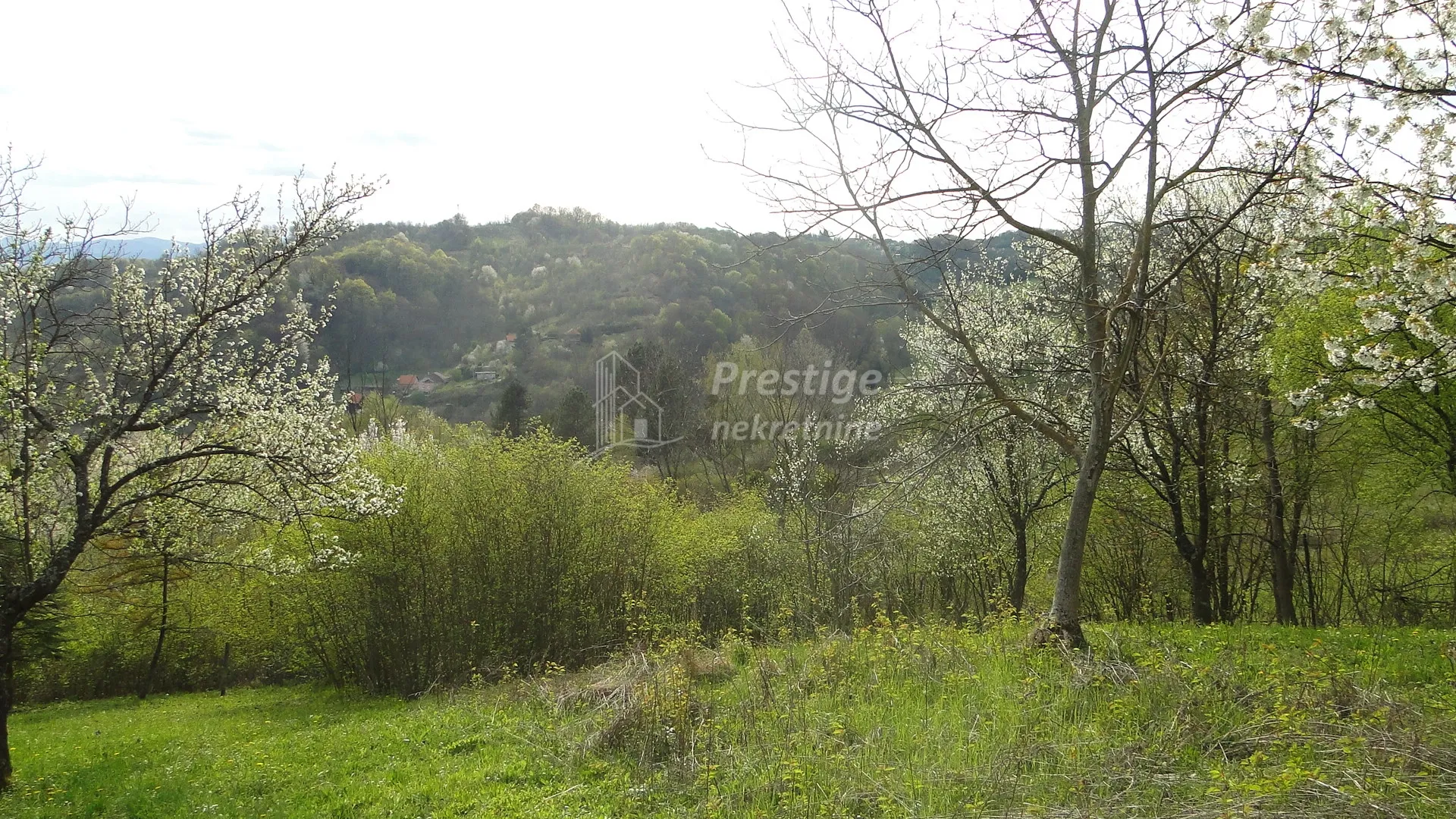 trstenik, građevinsko zemljište, 992m2 - slika 6