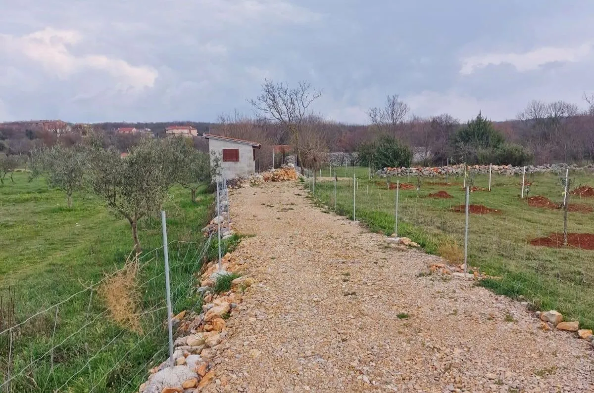 poljoprivredno zemljište, prodaja, grad krk, hrvatska, 2651 m2, 75.000,00 eur - slika 3