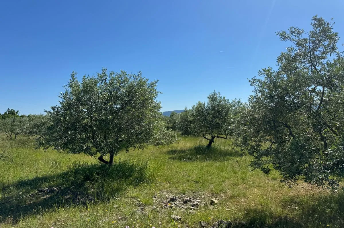 građevinsko zemljište, prodaja, grad krk, hrvatska, 36000 m2, 1.500.000,00 eur - slika 4