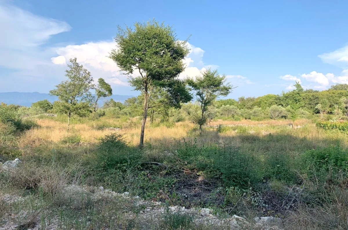 Građevinsko zemljište, prodaja, Dobrinj, Hrvatska, 840 m2, 182.000,00 EUR