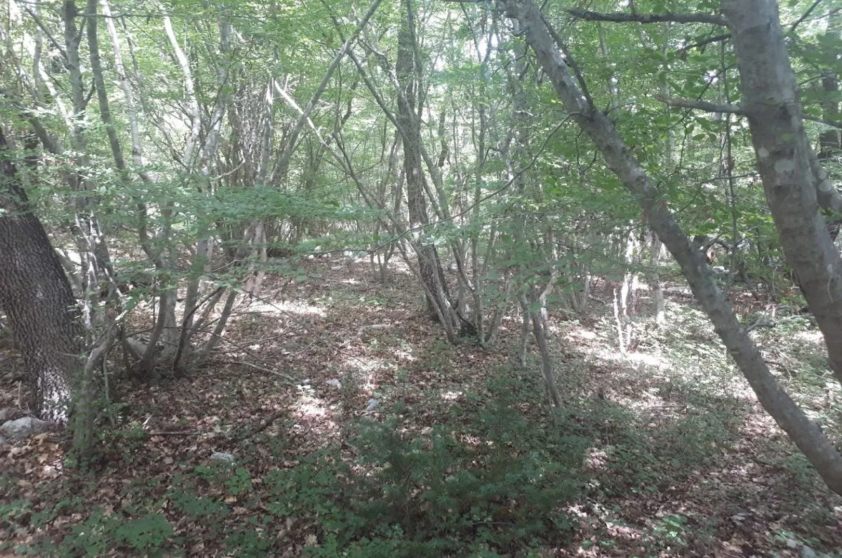 Poljoprivredno zemljište, prodaja, Vrbnik, Hrvatska, 34519 m2, 120.000,00 EUR