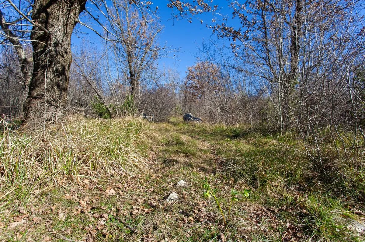 poljoprivredno zemljište, prodaja, grad krk, hrvatska, 46116 m2, 570.000,00 eur - slika 7