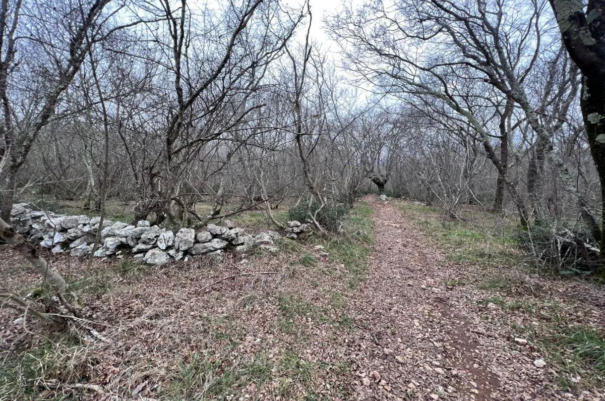 poljoprivredno zemljište, prodaja, grad krk, hrvatska, 11000 m2, 450.000,00 eur - slika 2