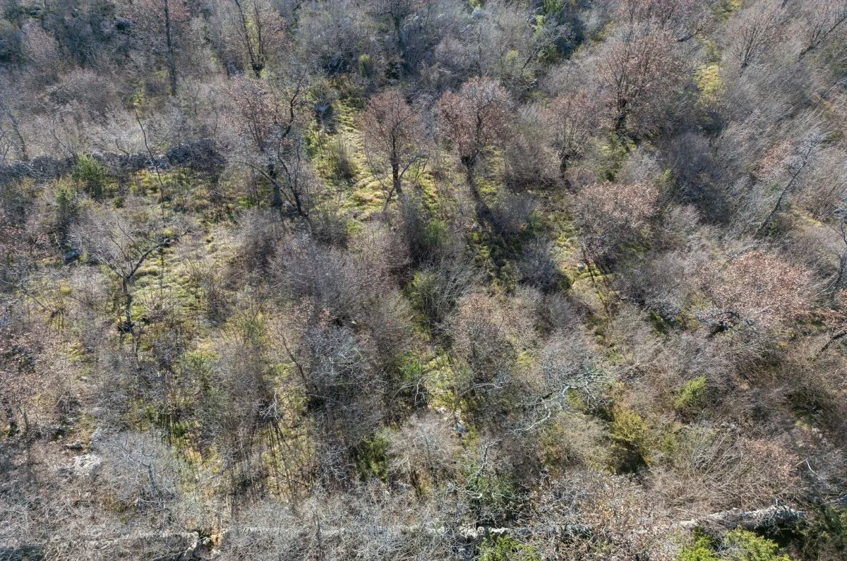 poljoprivredno zemljište, prodaja, grad krk, hrvatska, 46116 m2, 570.000,00 eur - slika 2