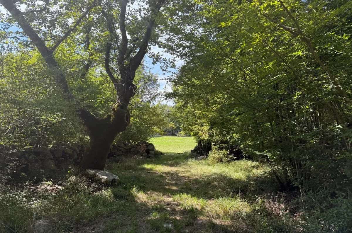 poljoprivredno zemljište, prodaja, malinska, hrvatska, 9798 m2, 117.576,00 eur - slika 5