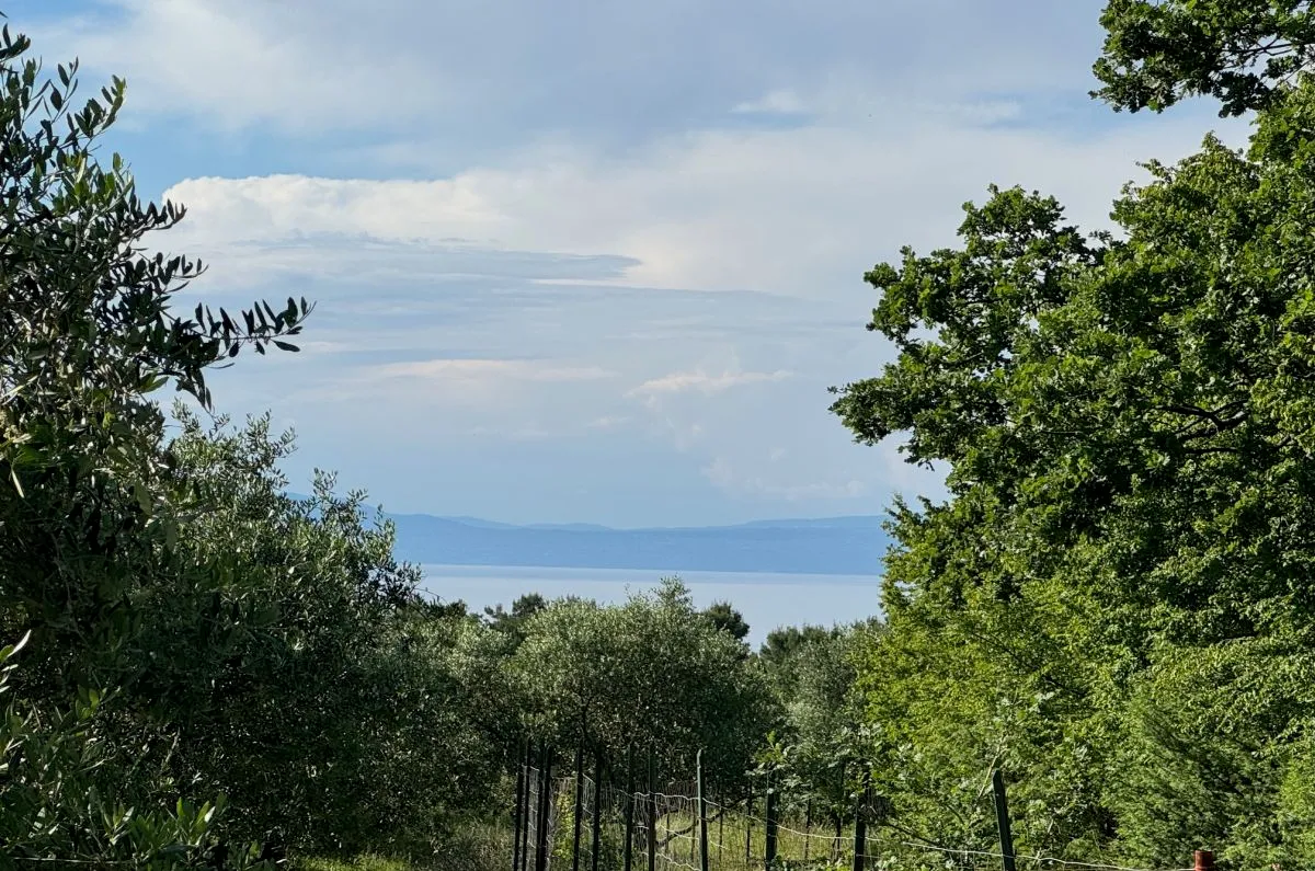 poljoprivredno zemljište, prodaja, grad krk, hrvatska, 24399 m2, 630.000,00 eur - slika 2