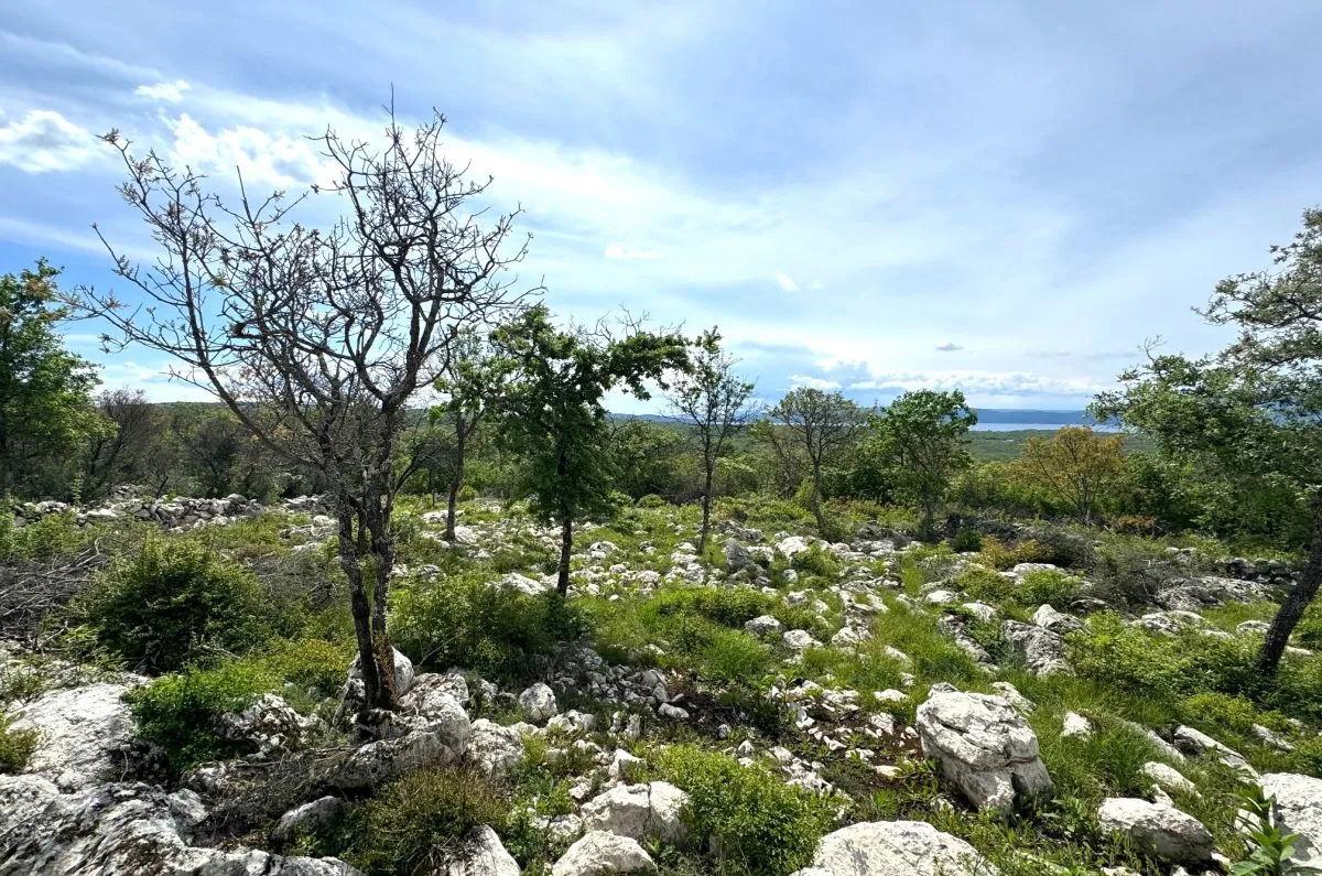 poljoprivredno zemljište, prodaja, grad krk, hrvatska, 3071 m2, 69.000,00 eur - slika 3