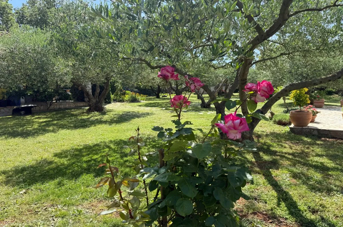 kuća, prodaja, grad krk, hrvatska, 210 m2, 690.000,00 eur - slika 30