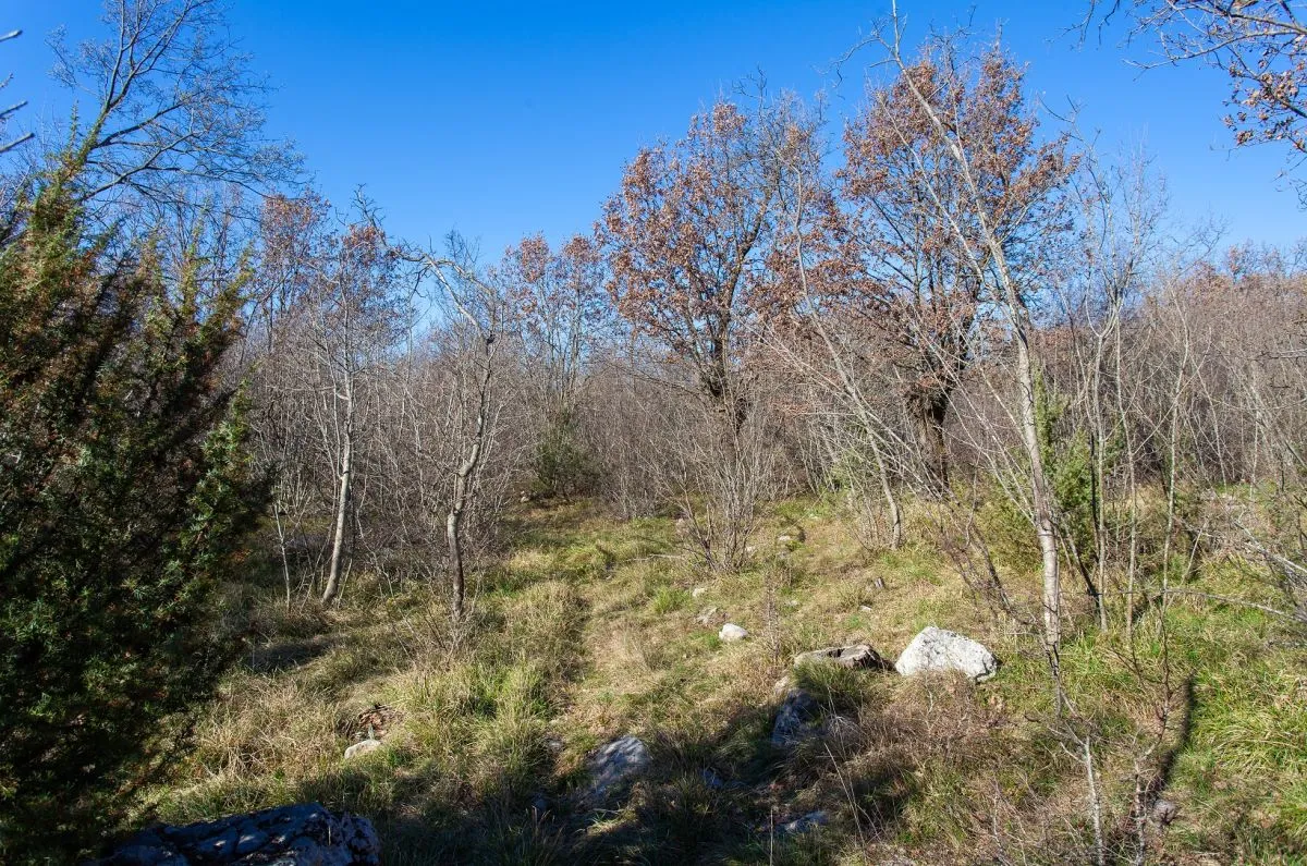 poljoprivredno zemljište, prodaja, grad krk, hrvatska, 46116 m2, 570.000,00 eur - slika 5
