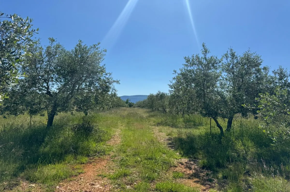 građevinsko zemljište, prodaja, grad krk, hrvatska, 36000 m2, 1.500.000,00 eur - slika 3