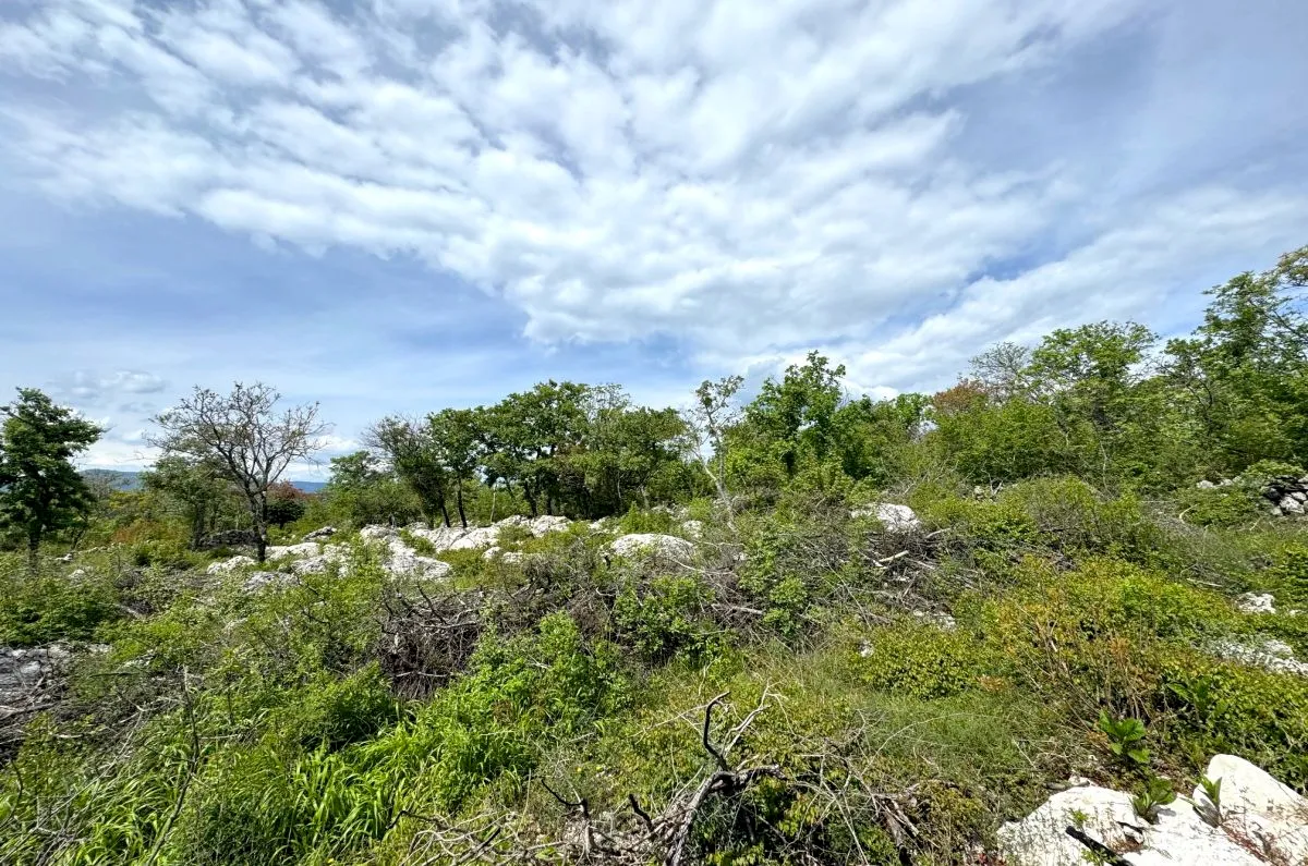 Poljoprivredno zemljište, prodaja, Grad Krk, Hrvatska, 3071 m2, 69.000,00 EUR - Muraj, Krk