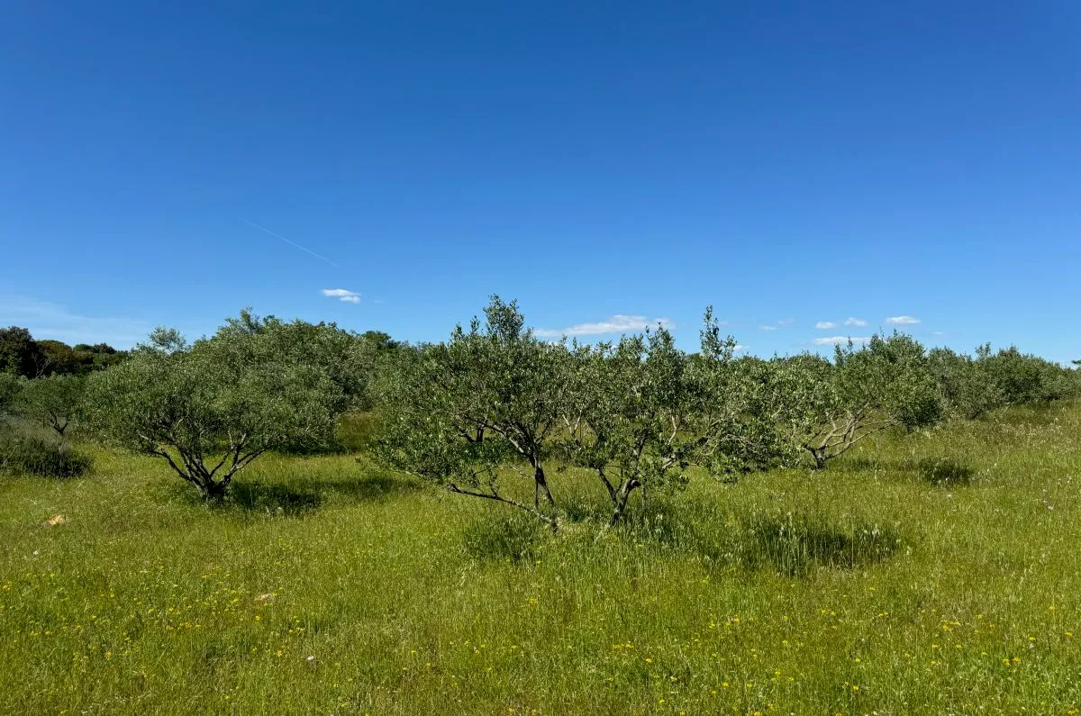 građevinsko zemljište, prodaja, grad krk, hrvatska, 36000 m2, 1.500.000,00 eur - slika 2