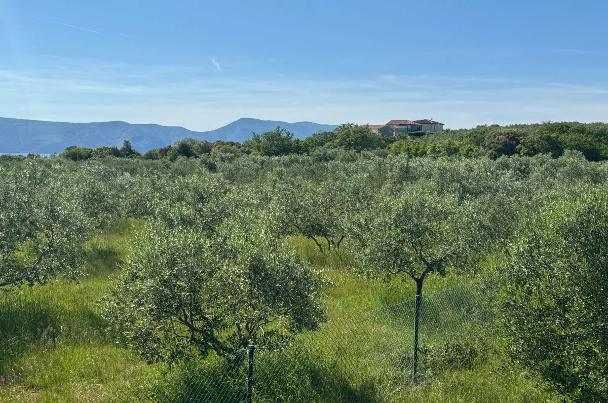 građevinsko zemljište, prodaja, grad krk, hrvatska, 36000 m2, 1.500.000,00 eur - slika 6