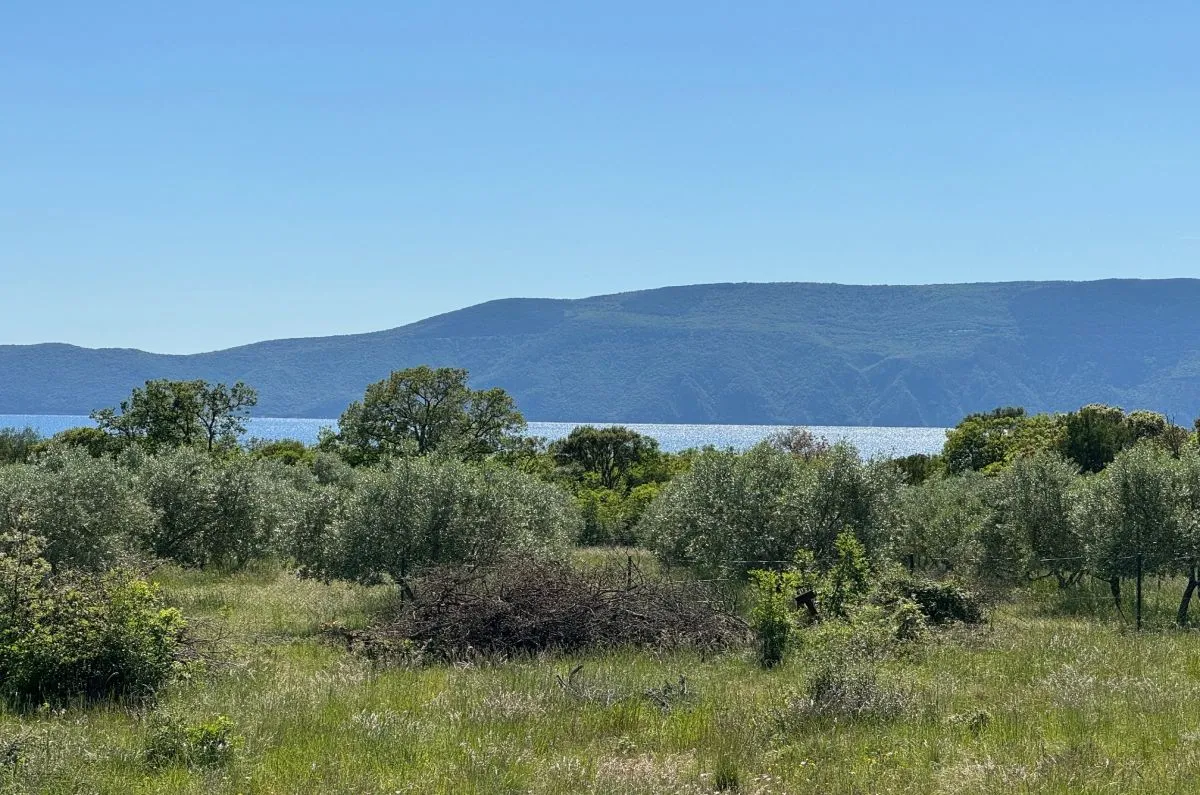 Građevinsko zemljište, prodaja, Grad Krk, Hrvatska, 36000 m2, 1.500.000,00 EUR - Muraj, Krk