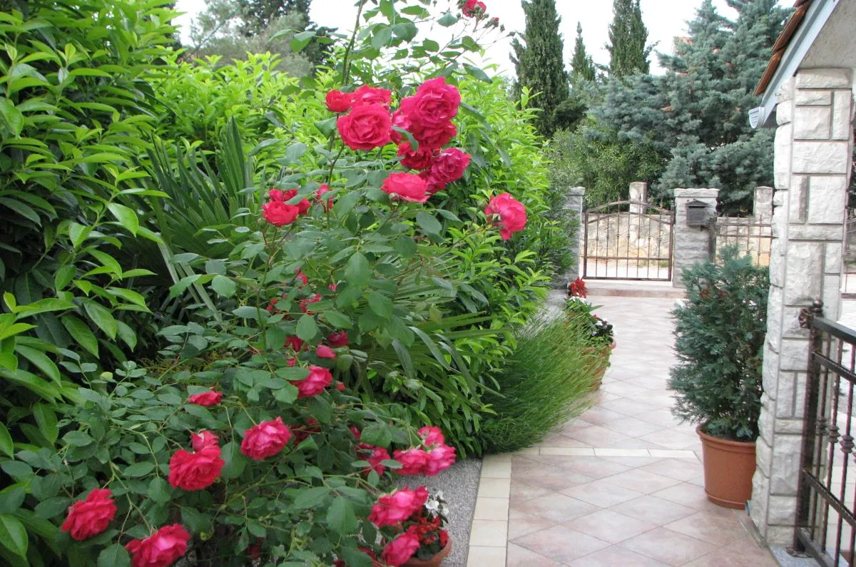 kuća, prodaja, grad krk, hrvatska, 110 m2, 468.000,00 eur - slika 18