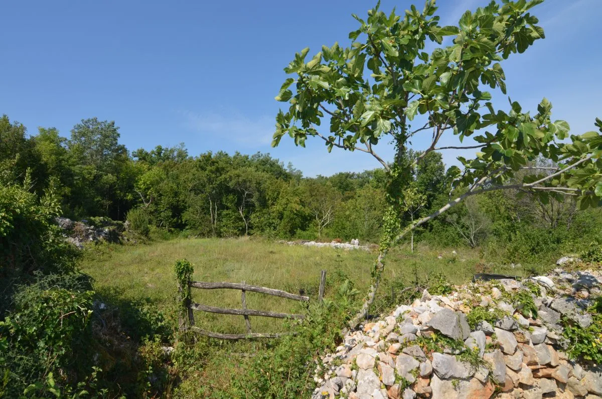 građevinsko zemljište, prodaja, uvala soline, hrvatska, 450 m2, 155.000,00 eur - slika 8
