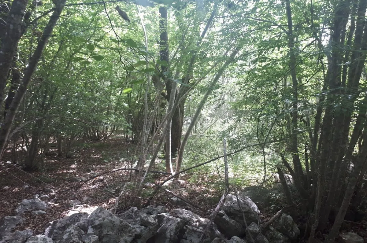 poljoprivredno zemljište, prodaja, vrbnik, hrvatska, 34519 m2, 120.000,00 eur - slika 3