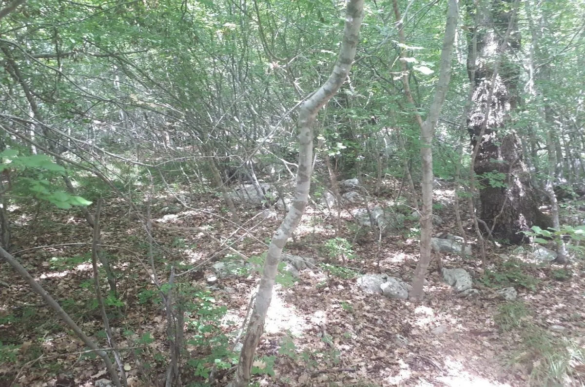poljoprivredno zemljište, prodaja, vrbnik, hrvatska, 34519 m2, 120.000,00 eur - slika 2