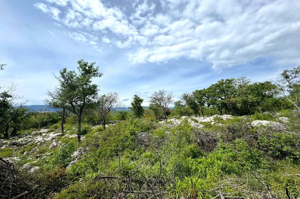 poljoprivredno zemljište, prodaja, grad krk, hrvatska, 3071 m2, 69.000,00 eur - slika 2