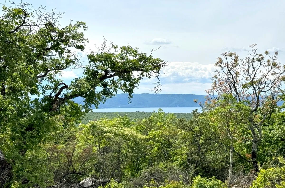 poljoprivredno zemljište, prodaja, grad krk, hrvatska, 3071 m2, 69.000,00 eur - slika 6