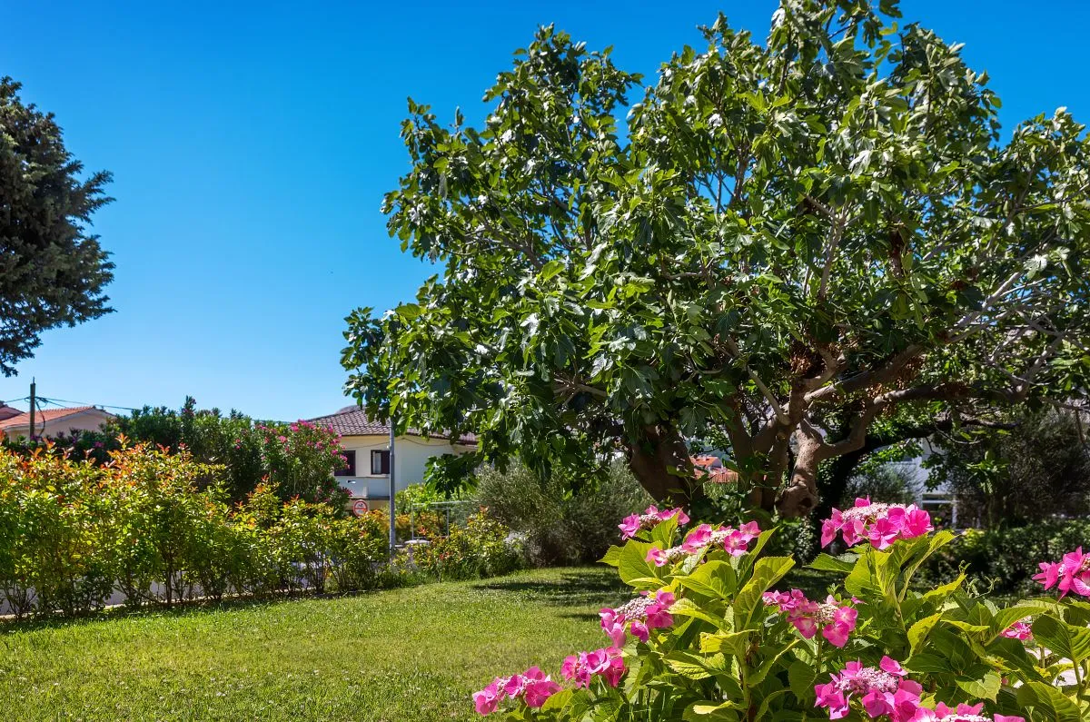 kuća, prodaja, baška, hrvatska, 250 m2, 1.500.000,00 eur - slika 29