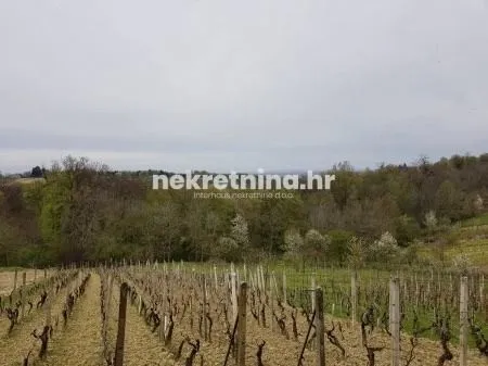 prodaja - kuća - vikendica - novakovec - novakovščak - 100m2 - slika 9