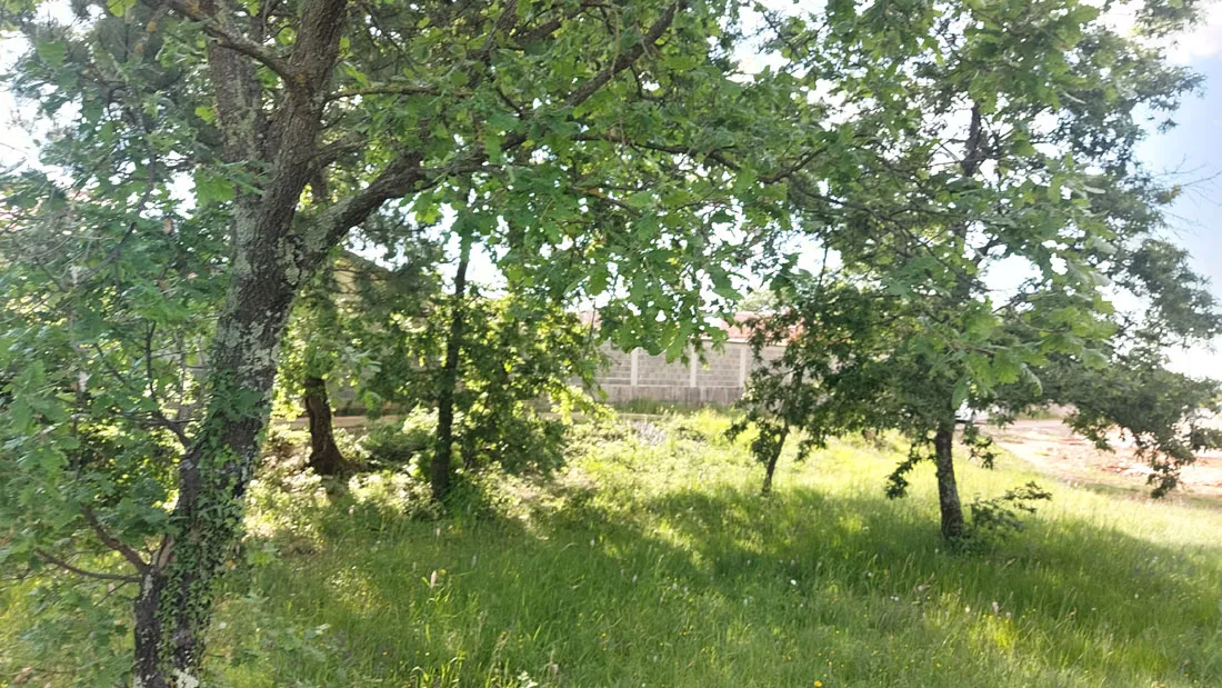 tinjan – okolica, građevinsko + poljoprivredno zemljište - slika 4