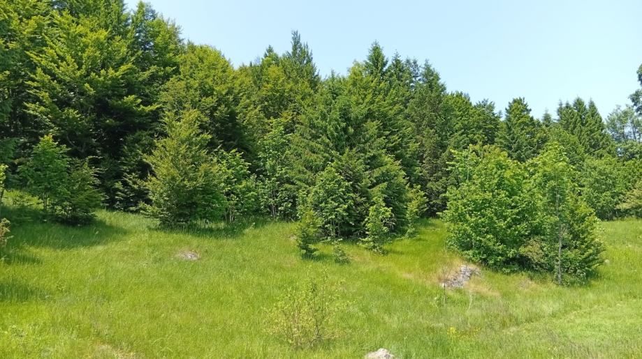 Gorski kotar, Stari Laz zemljište prodaja - Stari Laz, Ravna Gora