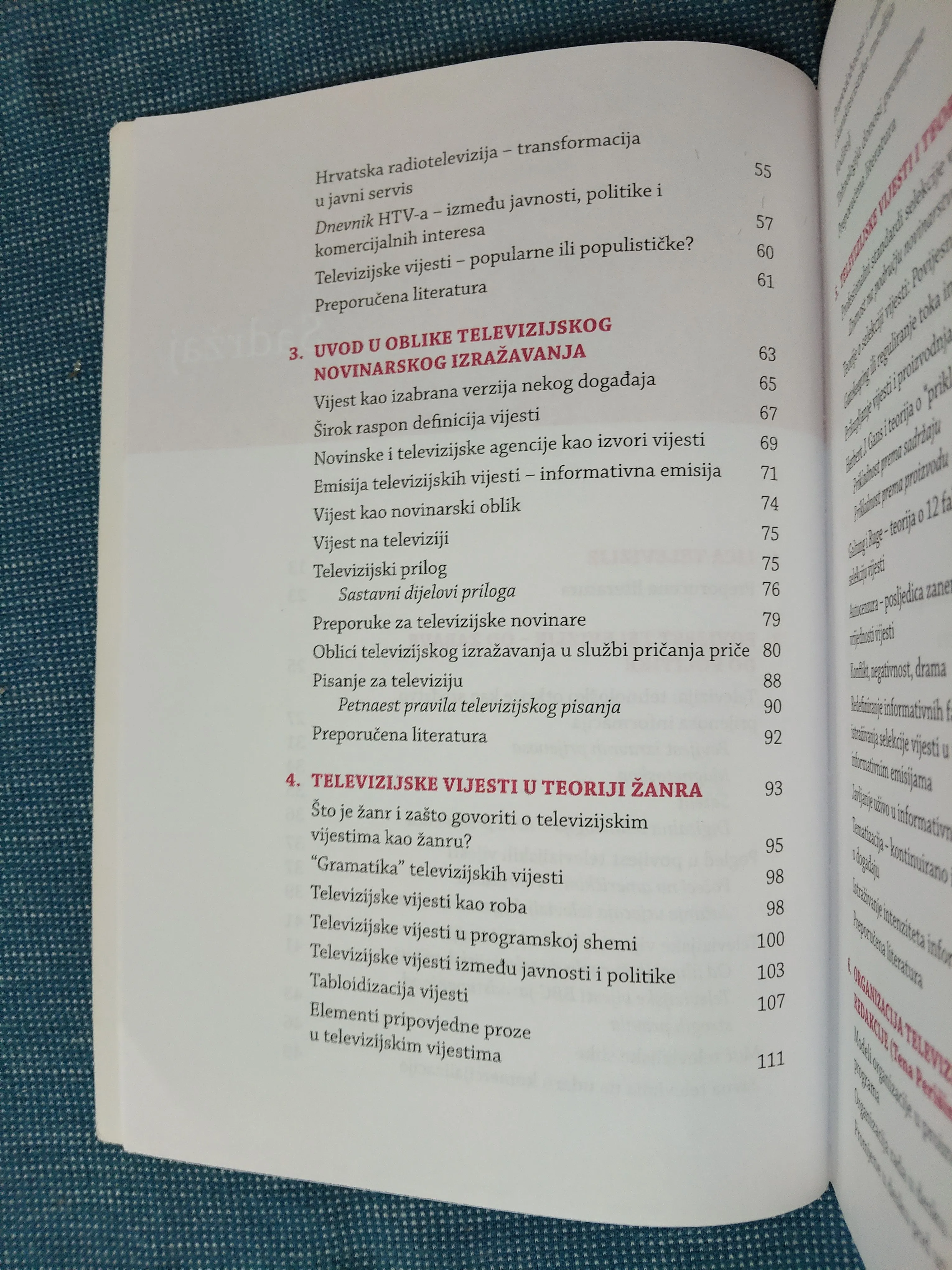 tena perišin – televizijske vijesti - slika 5