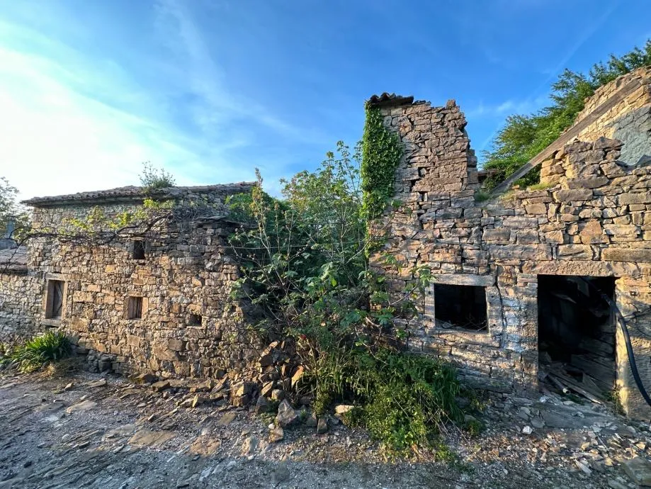 istra-malo selo s nagrađivanim vinom i maslinovim uljem (prodaja) - slika 16