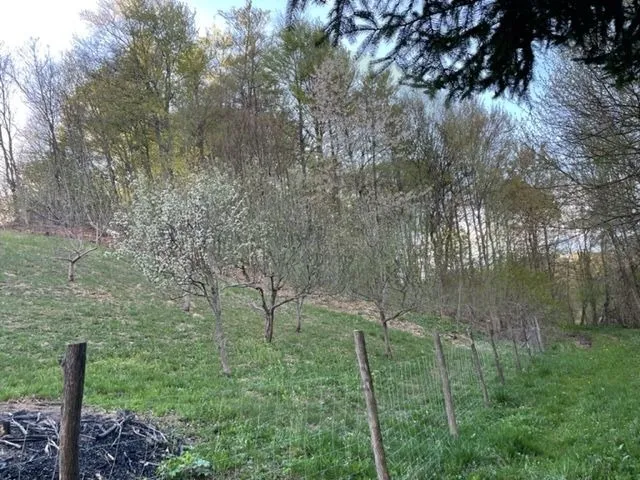 obiteljska kuća 180 m2, ravno brezje + gosp. zgrada, moguća zamjena!! - slika 24