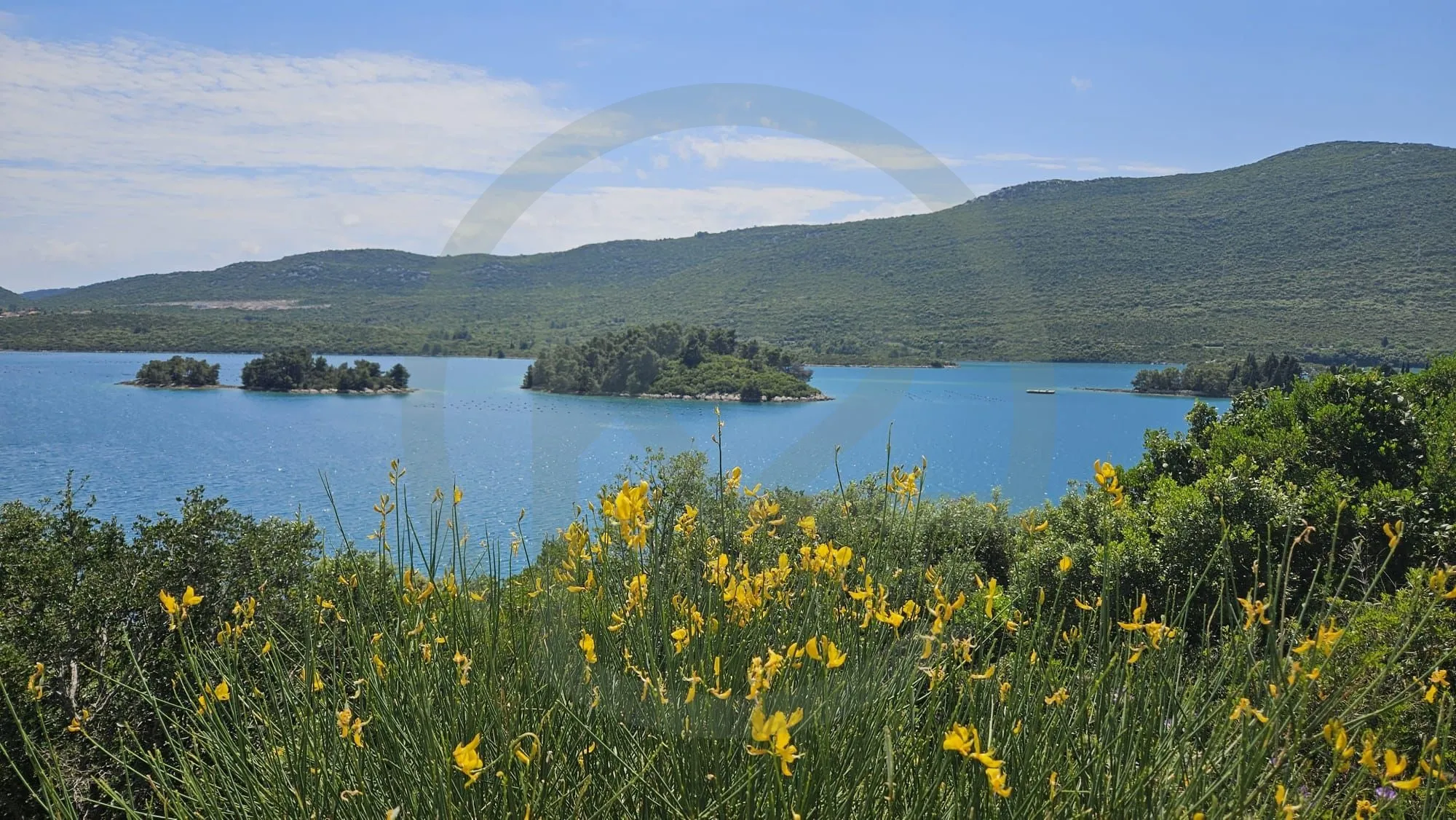 otok veliki školj - malostonski zaljev 20.085 m2 - slika 2