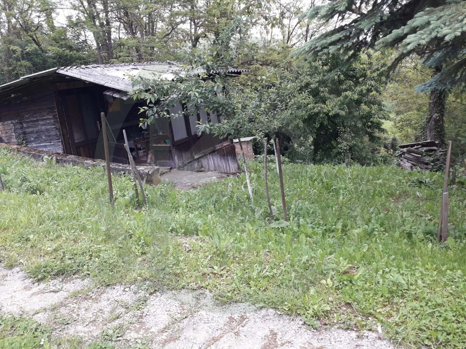 vikend parcela sa drvenom kućicom 737m2, zelina - slika 2