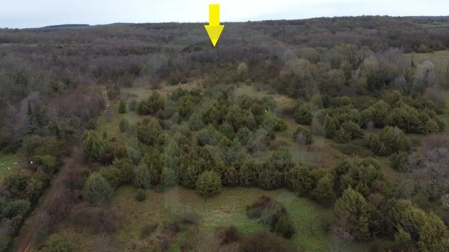 Građ. zemljište Poreč, 75.251 m2 / T1, T2 - Bratovići, Poreč