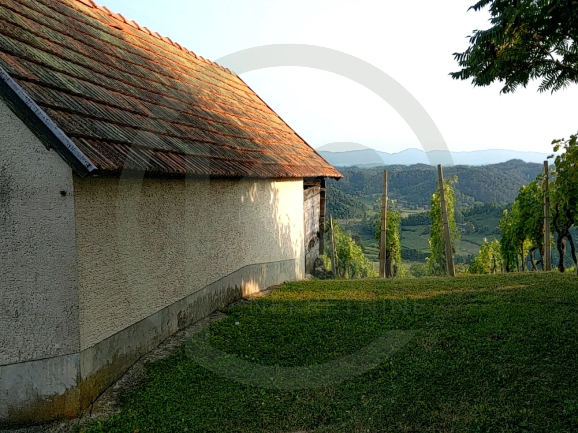 vinagora, kuća sa vinogradom 1.400 m2 - slika 4