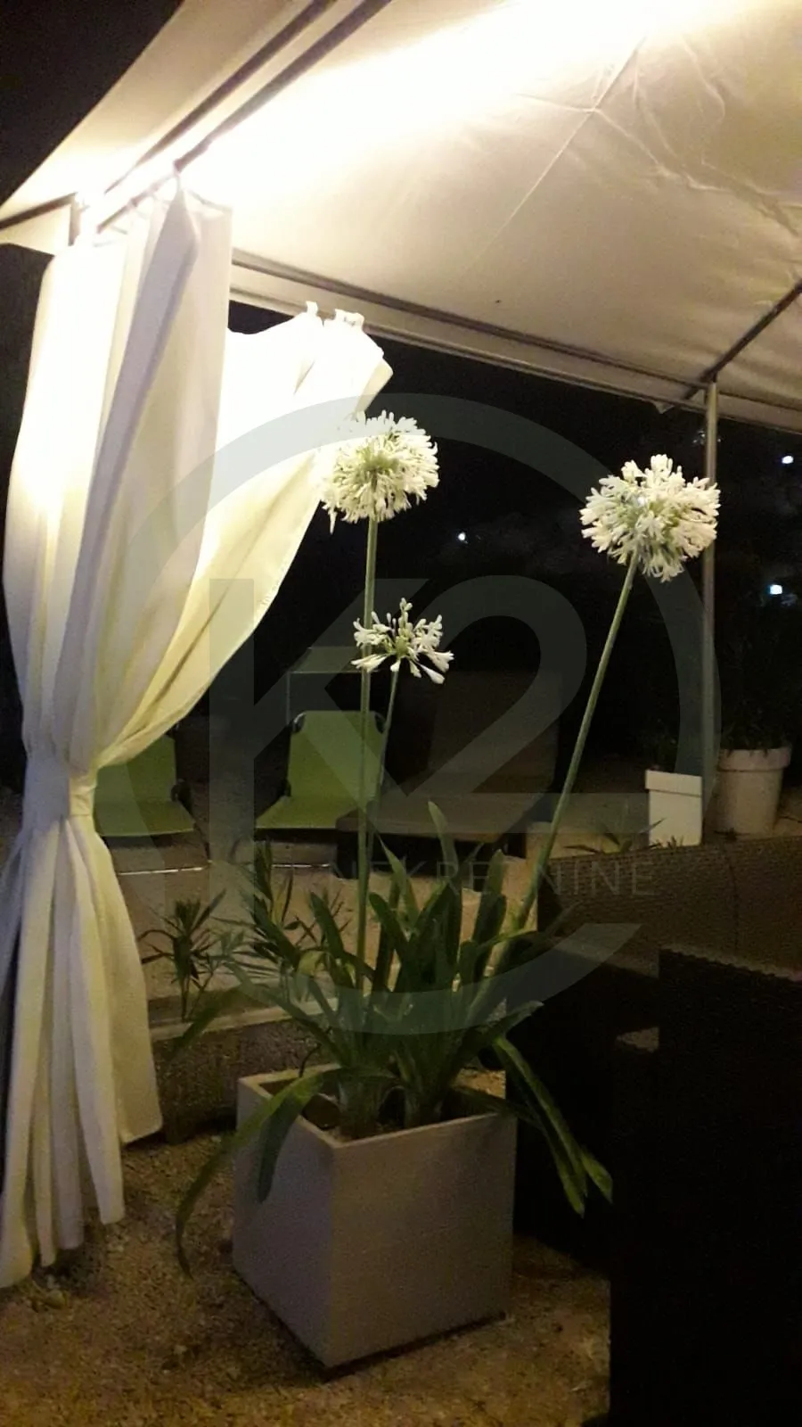 rovinj 60 m2, vrt, 4 pm, 400 m2 parcela, potencijal sa projektom!! - slika 22